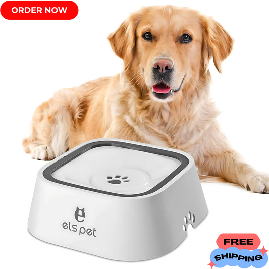 PAWSIP BOWL™